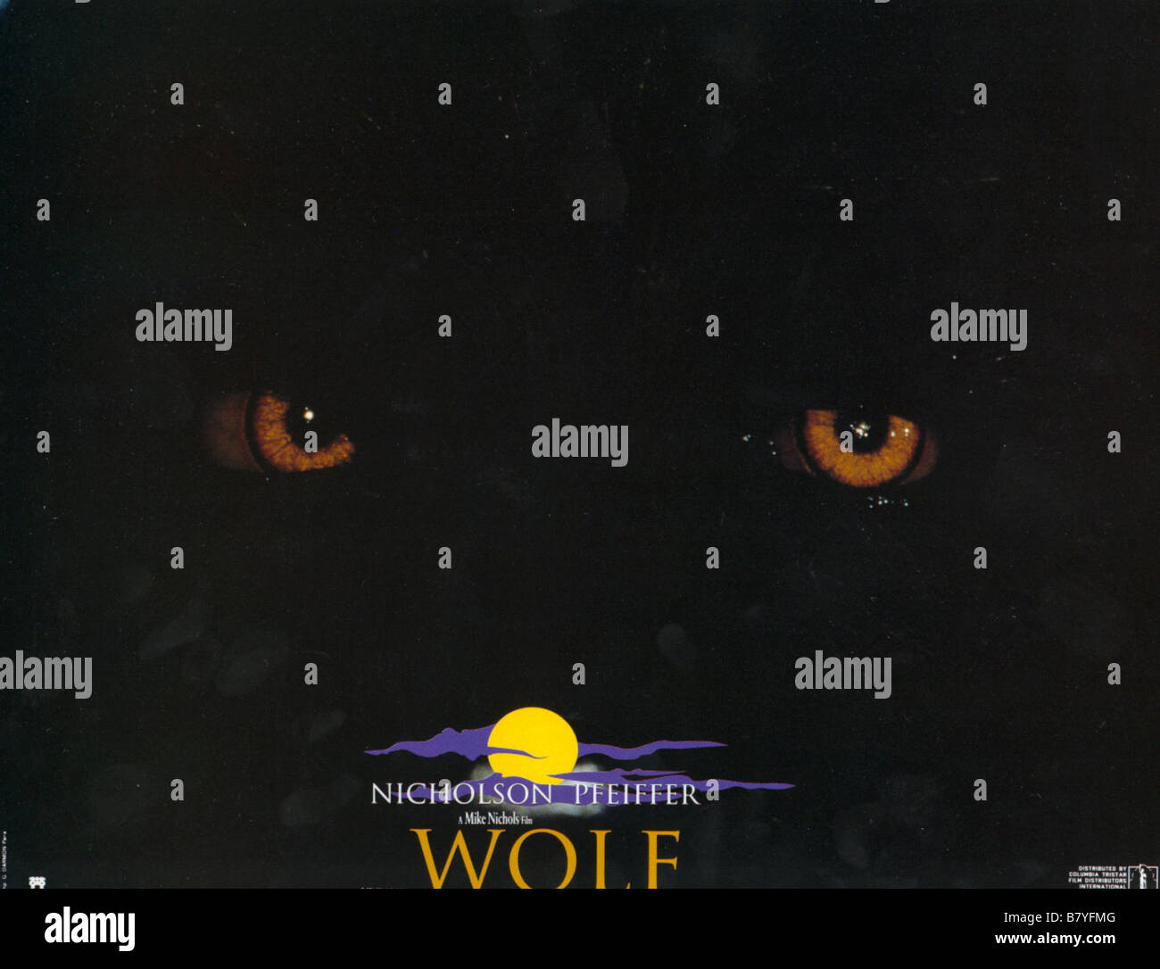 Wolf Year: 1994 USA Director: Mike Nichols Stock Photo