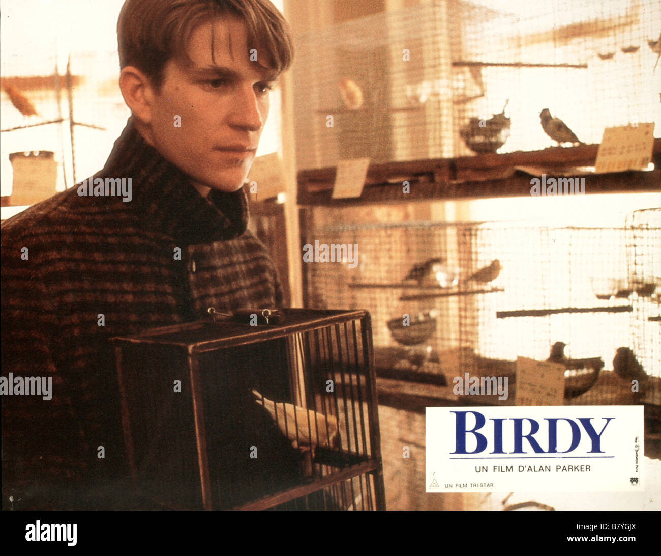 Birdy Year: 1984 USA Matthew Modine Director: Alan Parker Stock Photo -  Alamy