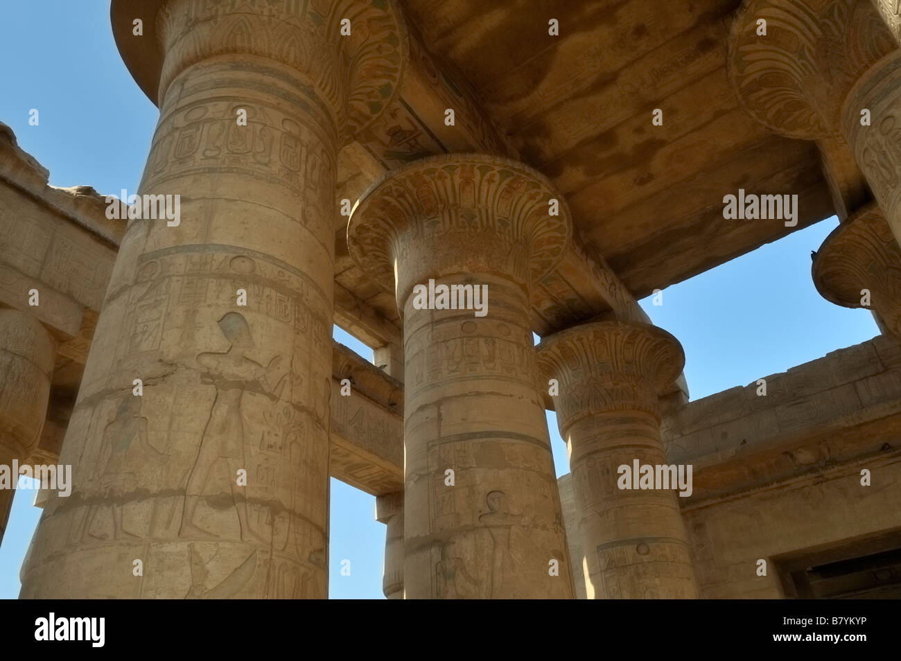columns of Hypostyle hall, Ramesseum, Luxor, Egypt 081119 33050 Stock Photo