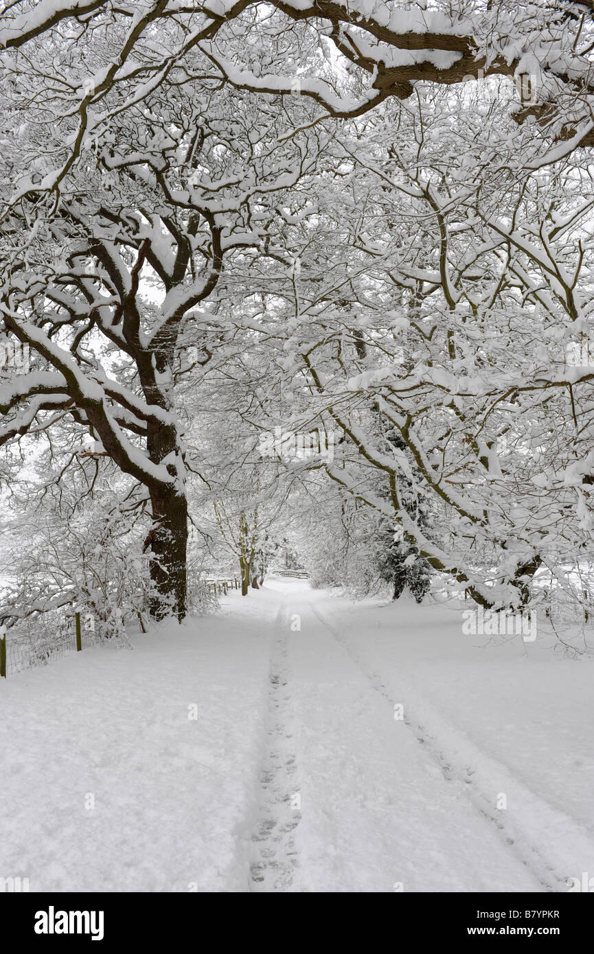 Heavy snowfall in an English country lane Stock Photo