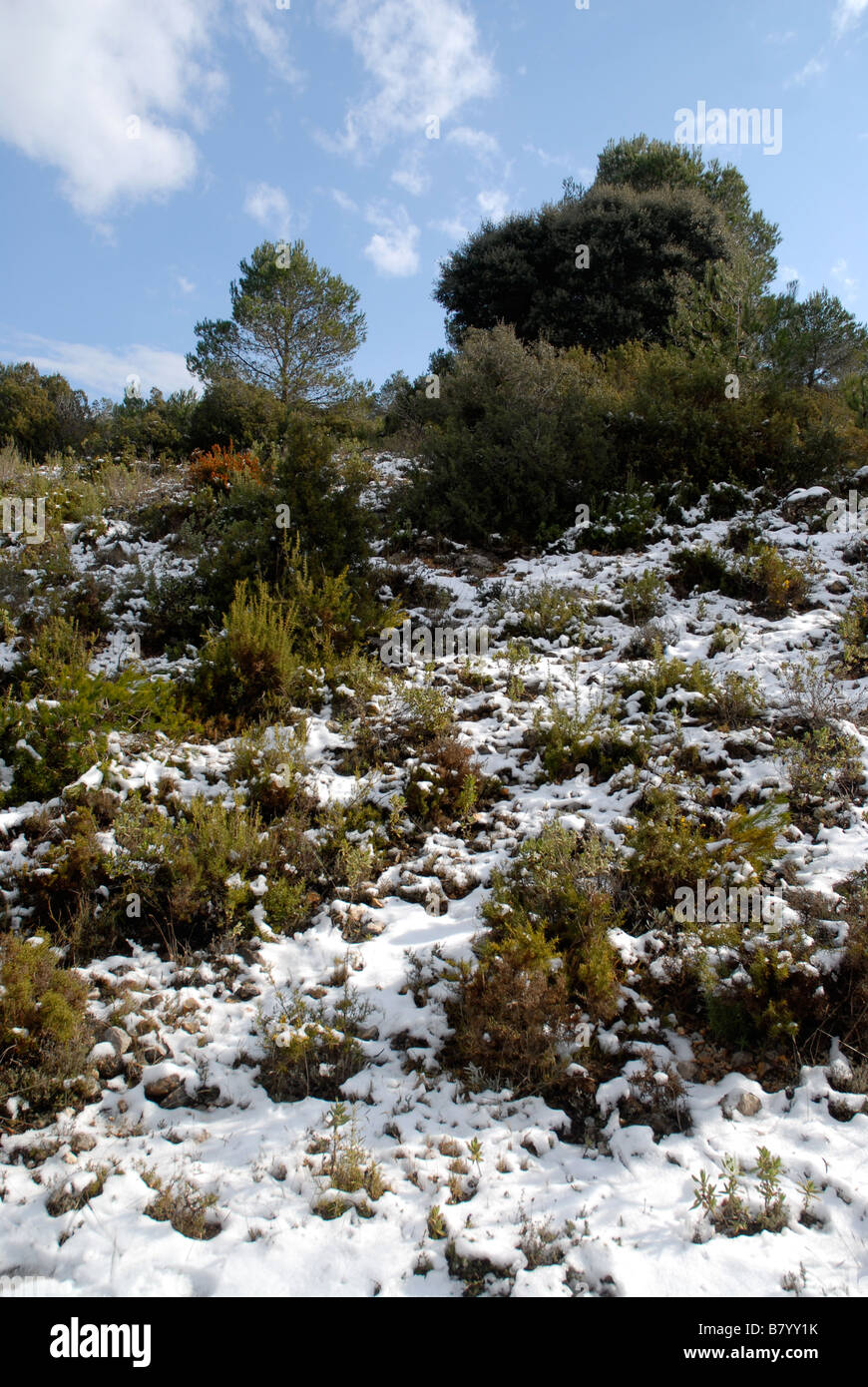 Mediterranean winter landscape with snow, near Alcala de la Jovada, Vall d'Alcala, Marina Alta, Alicante Province, Spain Stock Photo