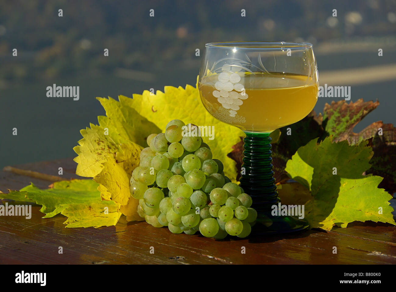 Federweißer new wine 11 Stock Photo