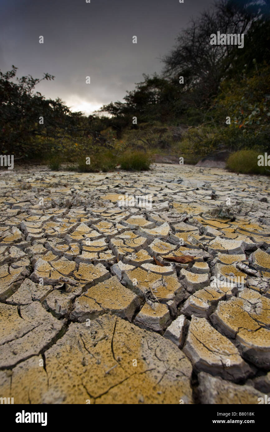 Dried mud patterns from a volcanic mudpot at the Volcano Rincón de la Vieja National Park near Liberia in the Guanacaste province of Costa Rica. Stock Photo