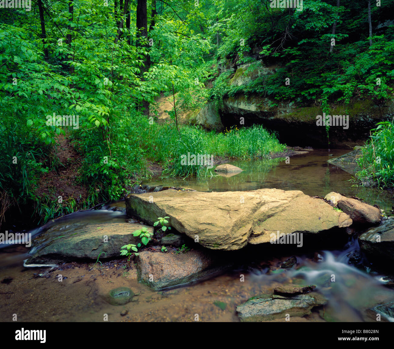 Boone creek hires stock photography and images Alamy