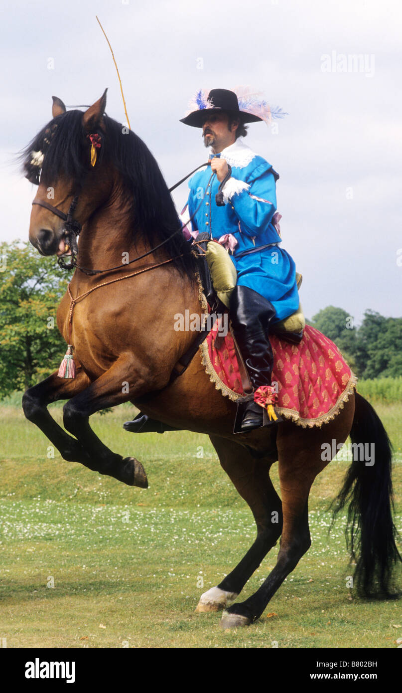 Classical Equitation Dressage Quadrille Horse Rider Historical Re Enactment 17th Century Costume Cavalier Man Male Courbette Stock Photo Alamy