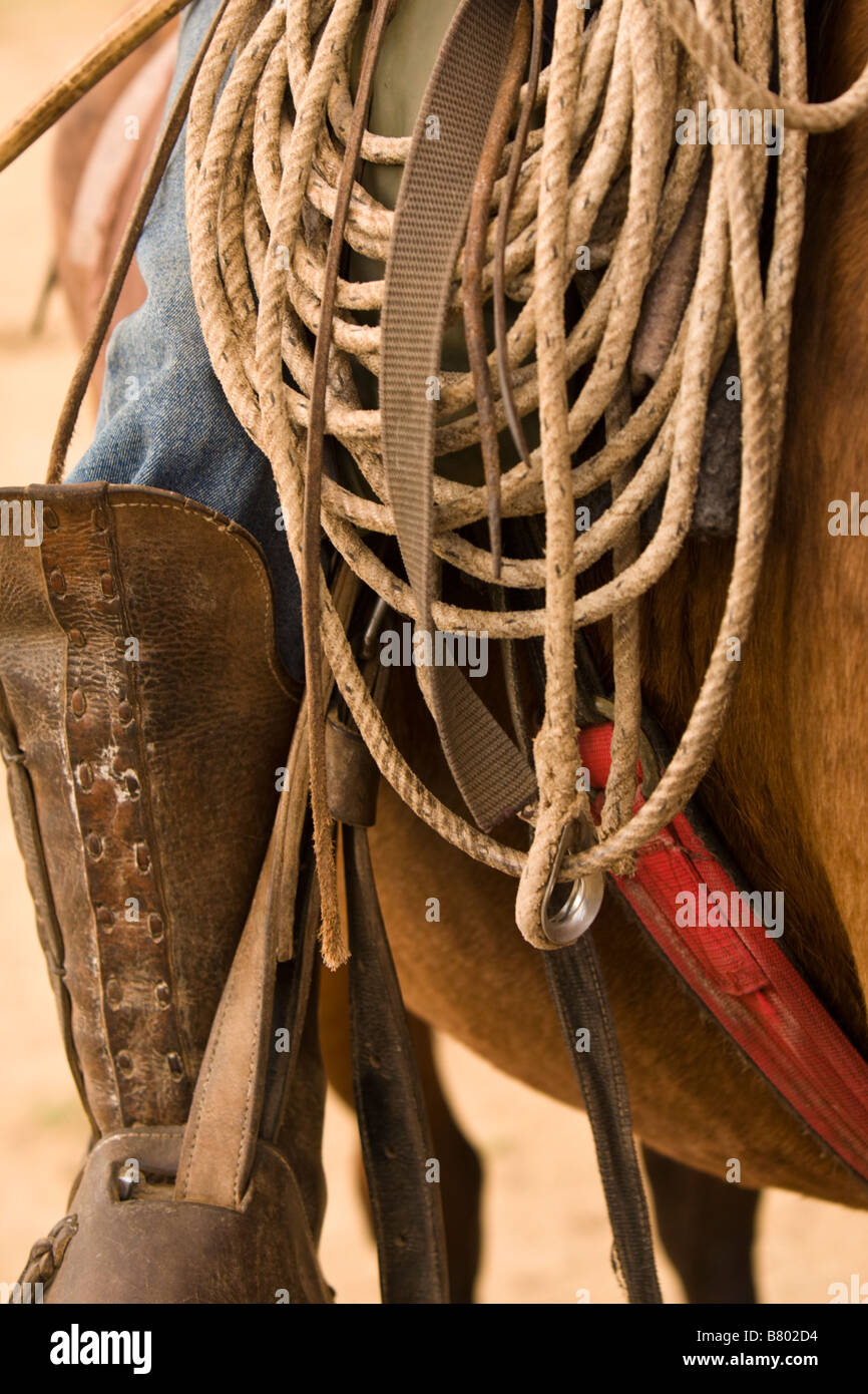 Close-up of cowboy's gear on a horse in Guanacaste, Costa Rica. Stock Photo