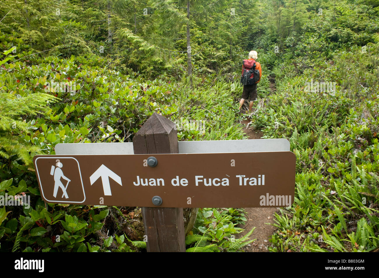 BRITISH COLUMBIA - Hiker on the Juan de Fuca Trail near Botanical Beach on the west coast of Vancouver Island. Stock Photo