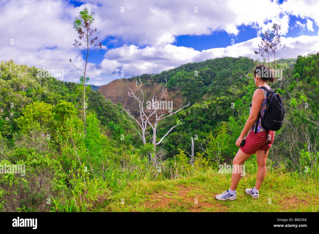 Hiker on the lush Po'omau Canyon Ditch Trail Kokee State Park Island of