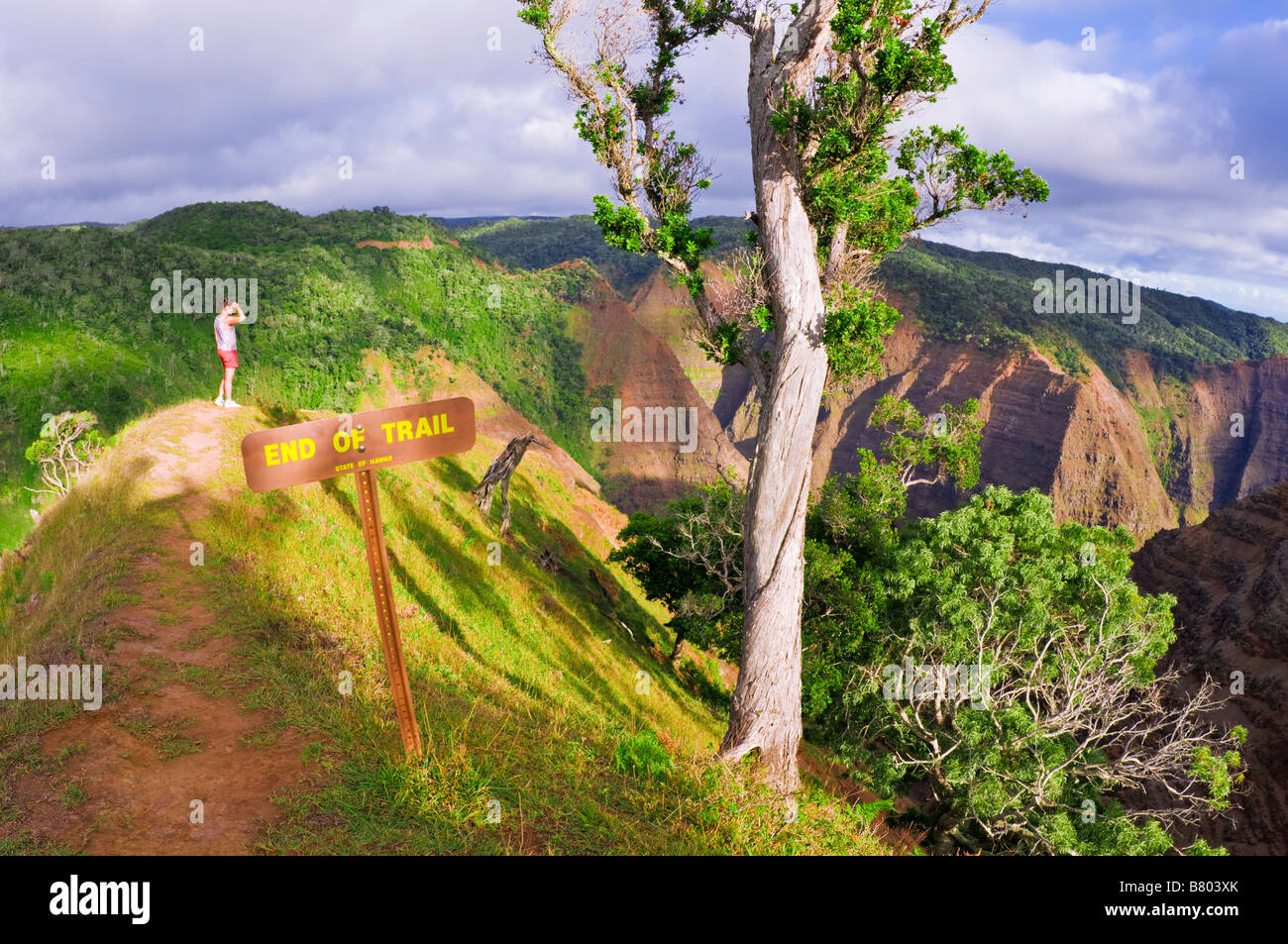 Hiker on the Po'omau Canyon Ditch Trail Kokee State Park Island of