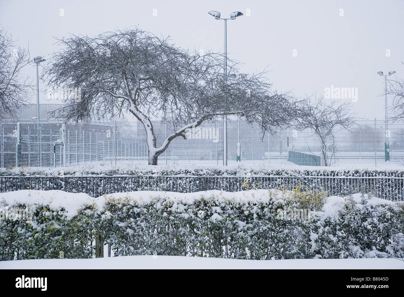 snow in the park Stock Photo - Alamy