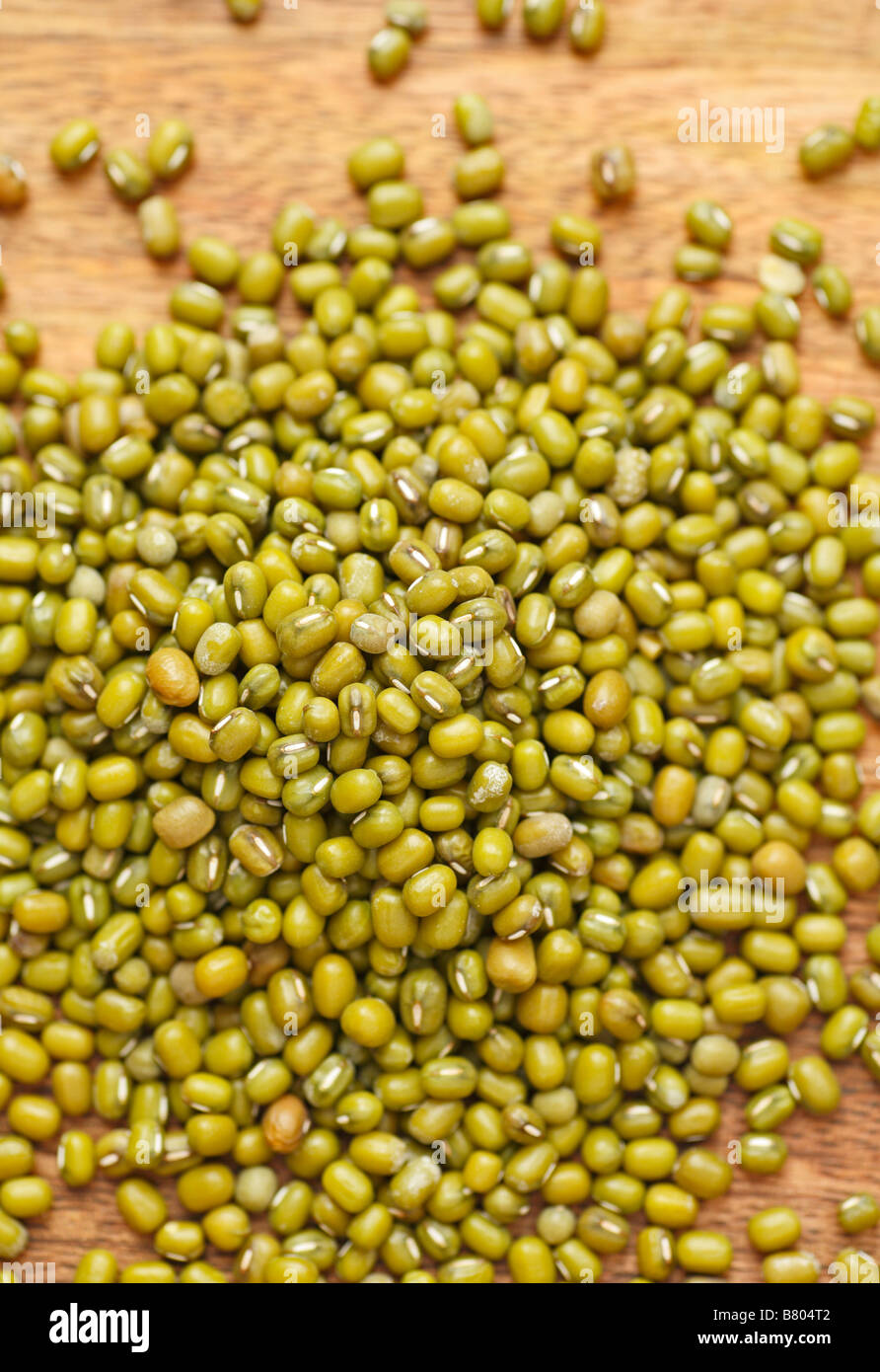 Mung beans. Stock Photo