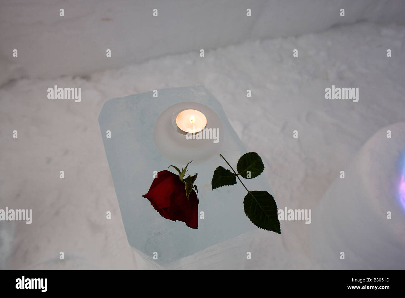 A lit candle and rose on a table made of ice at the Snow Hotel in Kirkeness Norway 400 kms above the Arctic Circle Stock Photo