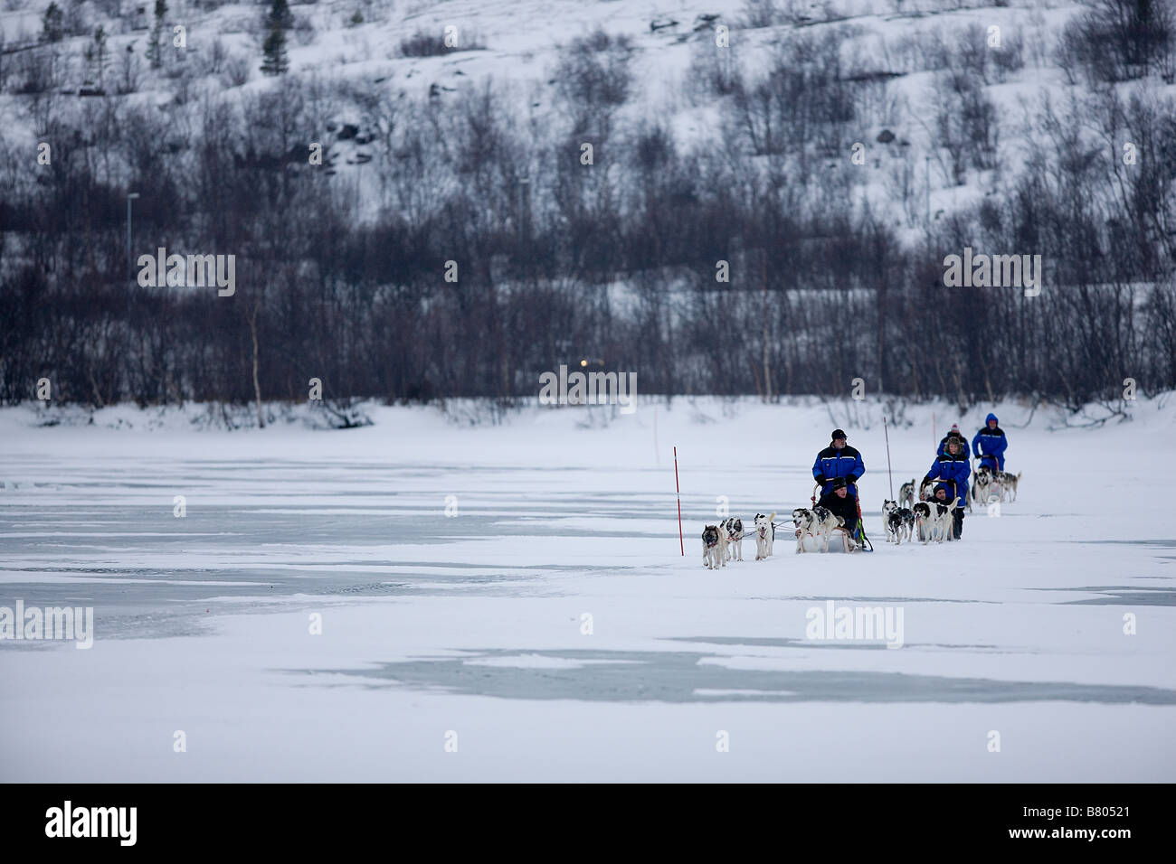 Sleigh teams pulled by Huskies cross a frozen lake in Kirkenes Norway above the Arctic Circle Stock Photo