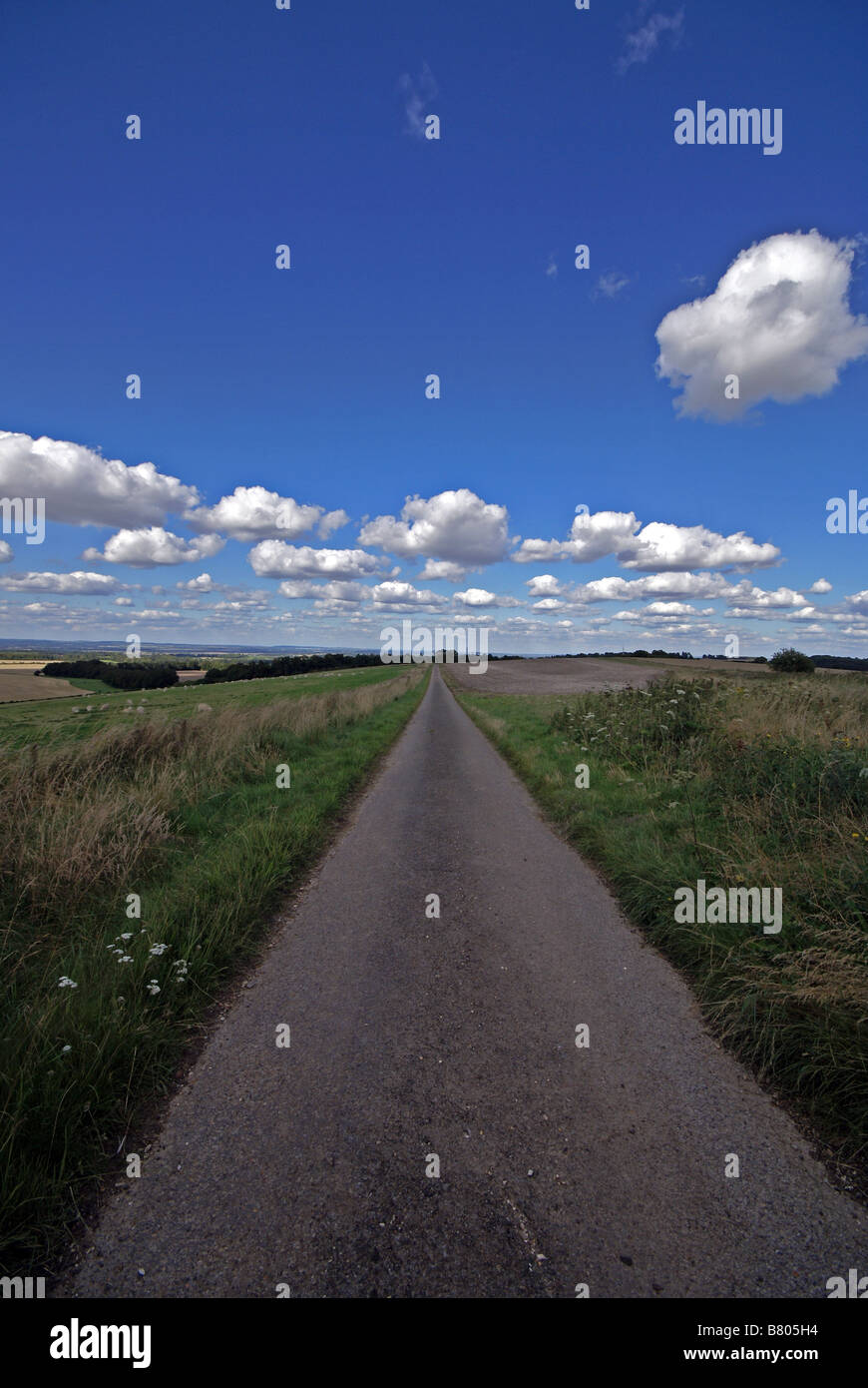 Oxfordshire Ridgeway in the summer Stock Photo Alamy