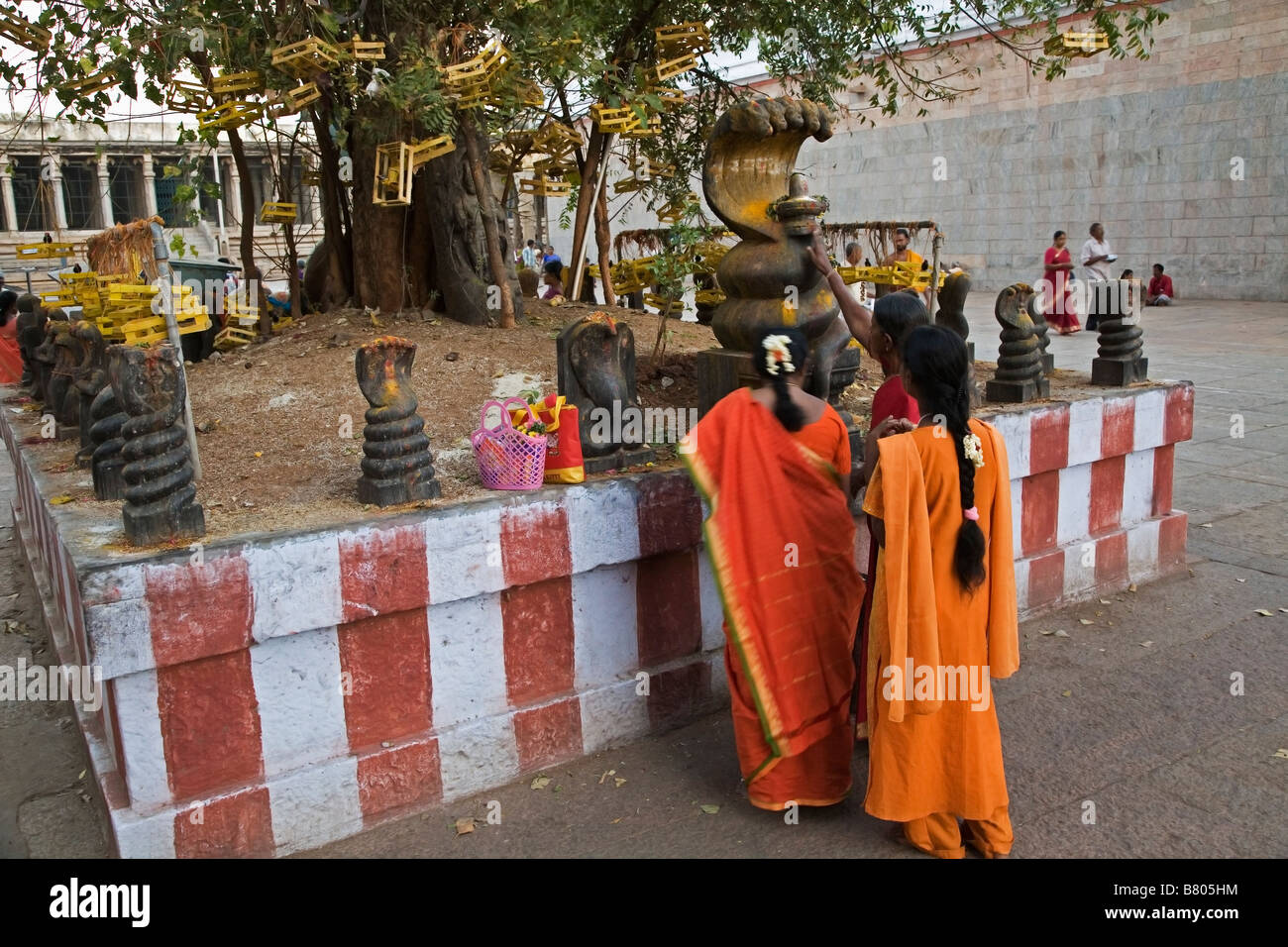 Indian women praying in front of nagastones at Shree Meenakshi Temple in Madurai in Tamil Nadu India Stock Photo