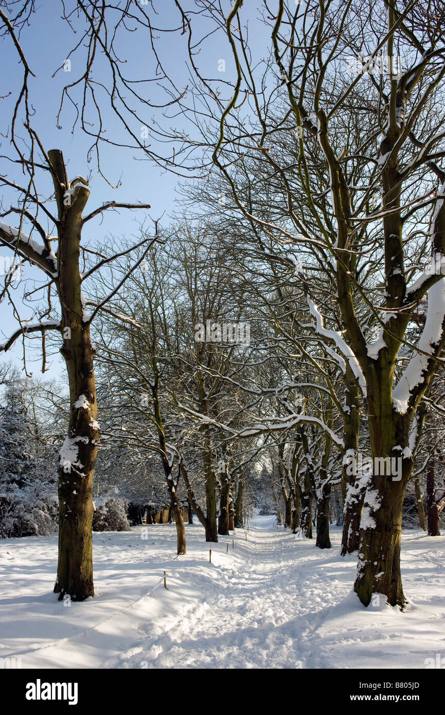 Cold london park scenic hi-res stock photography and images - Alamy