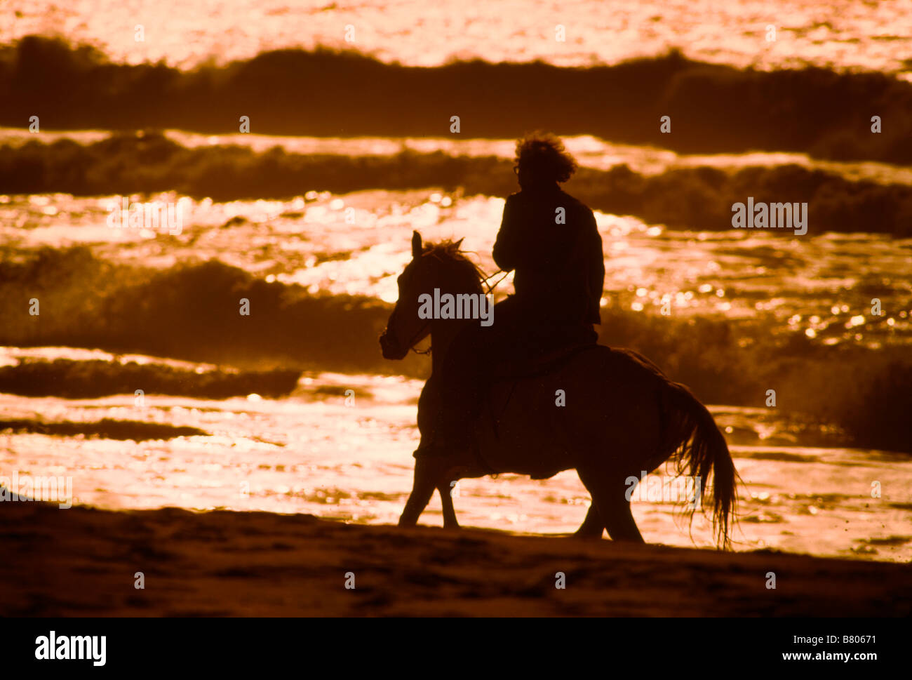 Horseback riding Stock Photo