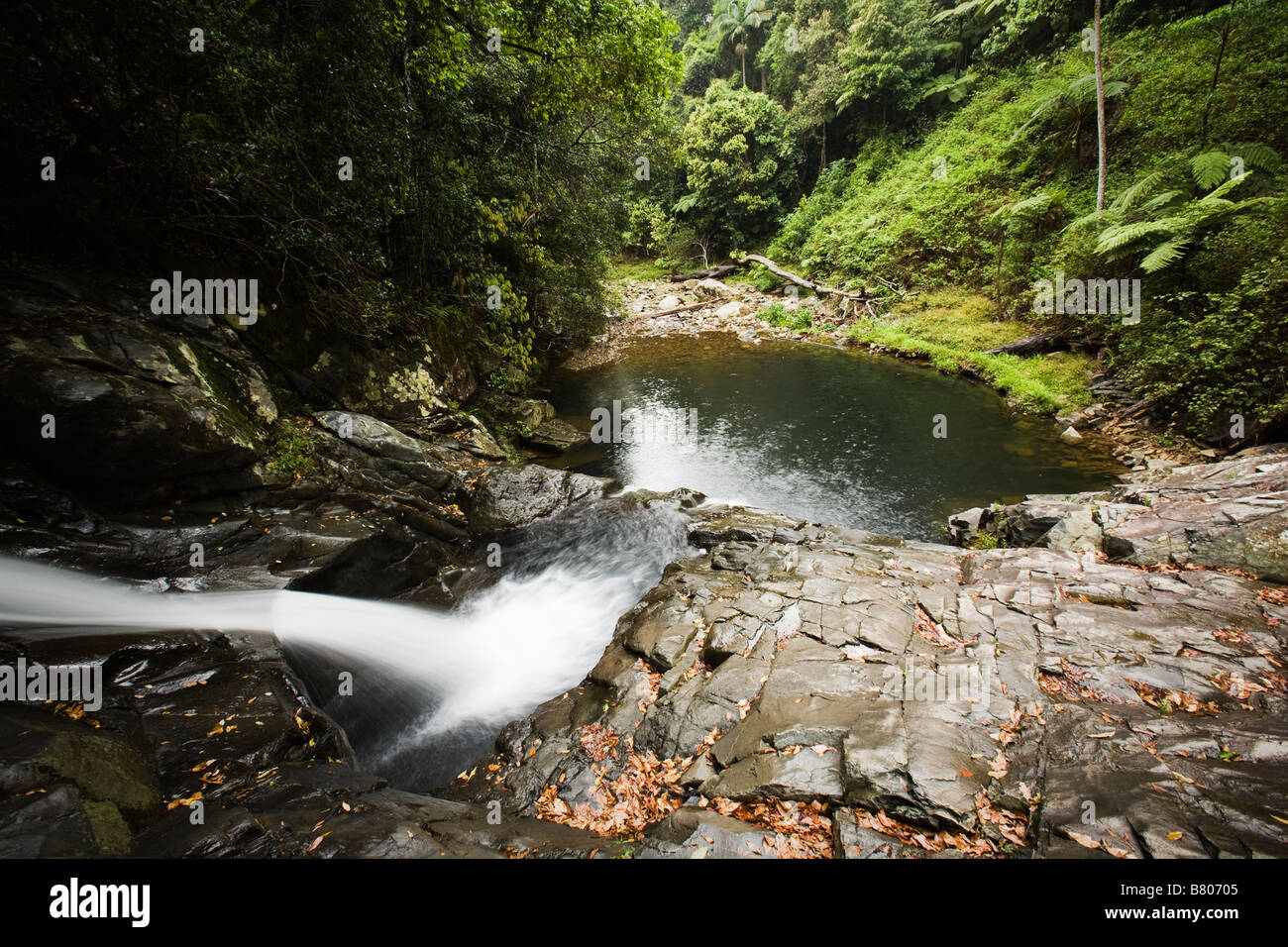 The Rock pools of Currumbin river Springbrook national park Gold Coast