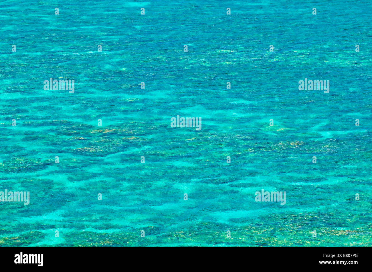 Coral reef at Hideaways Beach Island of Kauai Hawaii Stock Photo Alamy