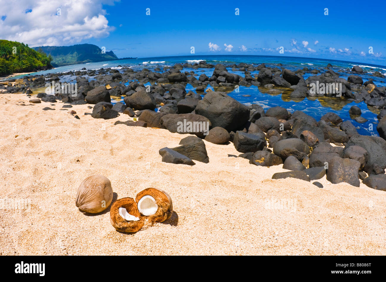 Coconuts Hideaways Beach High Resolution Stock Photography and Images