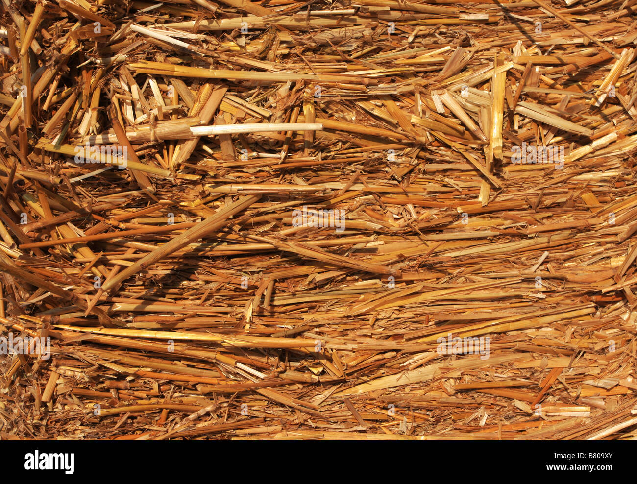 Straw bale texture hi-res stock photography and images - Alamy