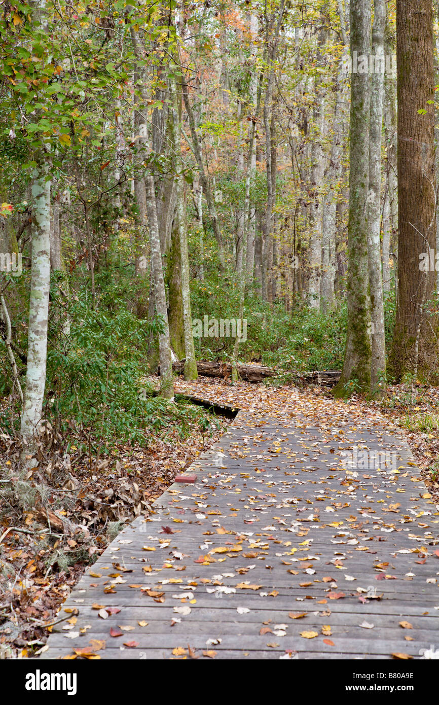Wooden boardwalk over wetland area on nature trail in Crooked River