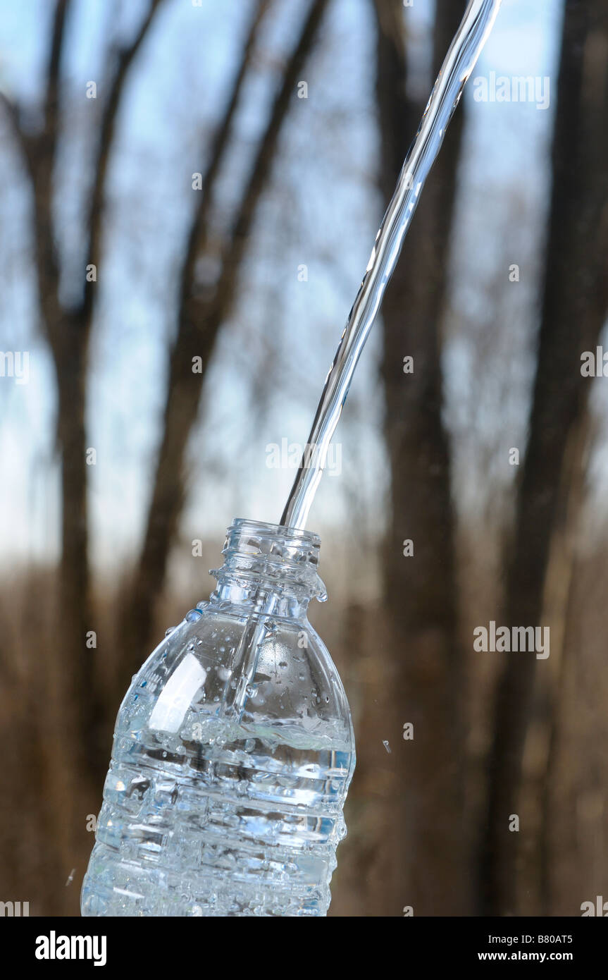 Smooth stream of pure water filling up a clear plastic bottle outdoors in the bush Stock Photo