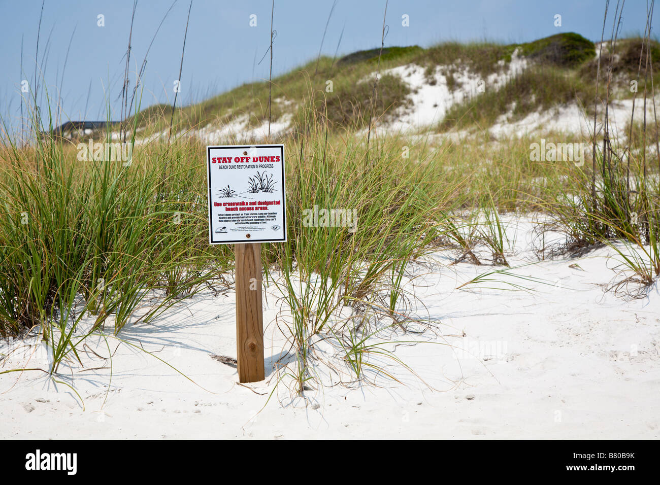 Warning signs to keep off sand dunes at beach in St Joseph Peninsula