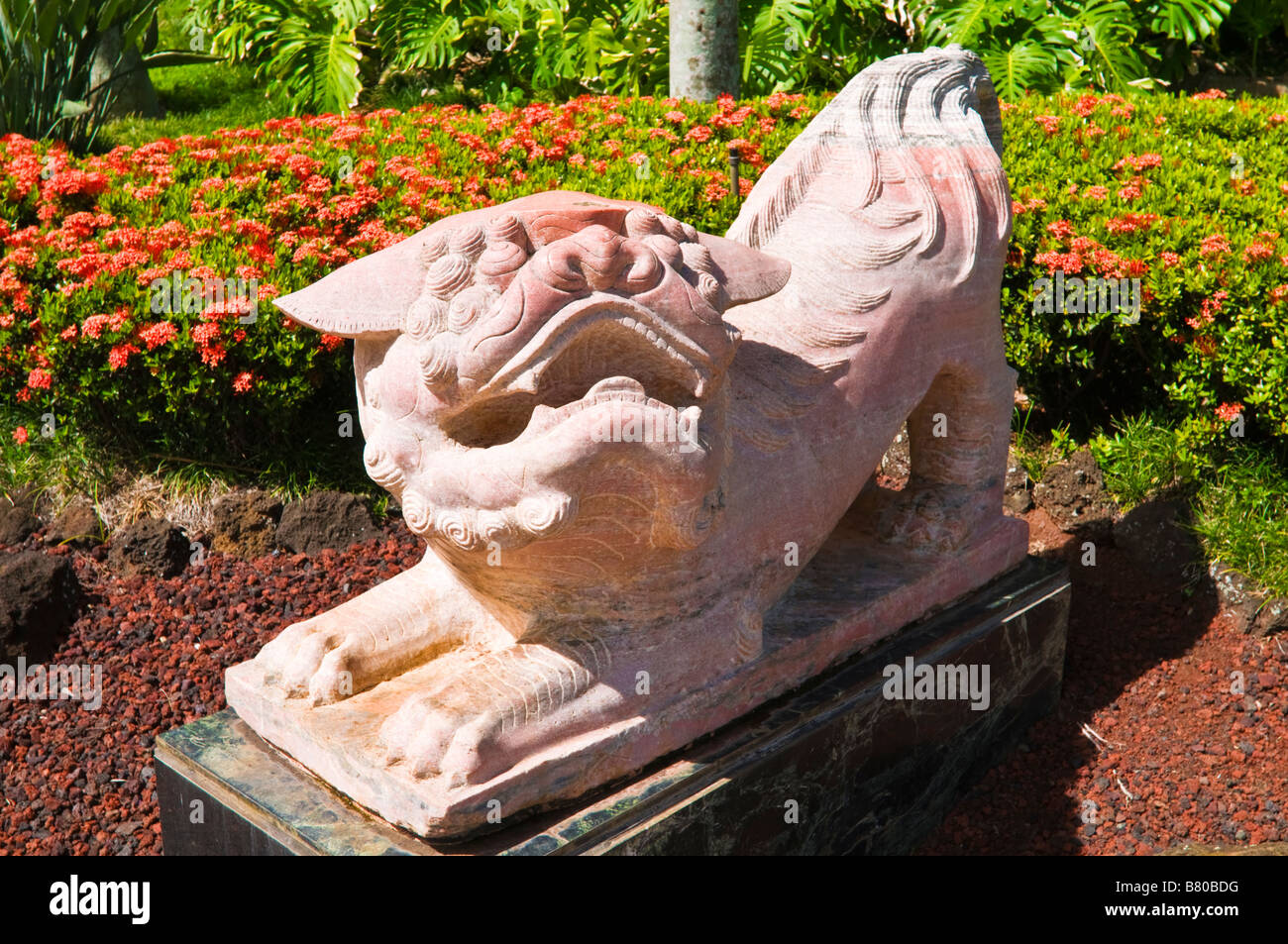 Chinese lion statue at the Kauai Marriott Resort Island of Kauai Hawaii Stock Photo