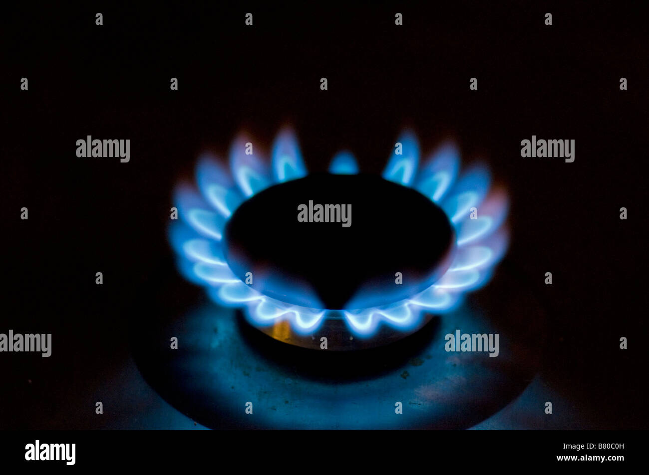 Gas flame on gas hob Stock Photo