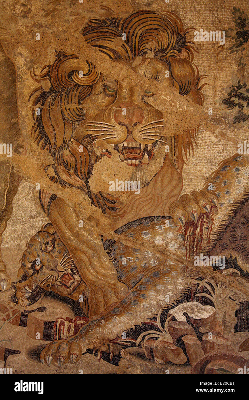 Lion and Leopard. Mosaic from Pompeii in the National Archaeological Museum in Naples, Italy. Stock Photo