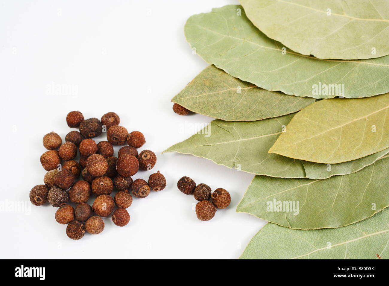 Cooking ingredients. Dried laurel leaves and allspice ( Jamaica pepper