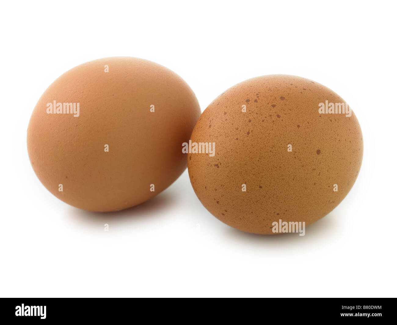 Raw twin yolk eggs hires stock photography and images Alamy