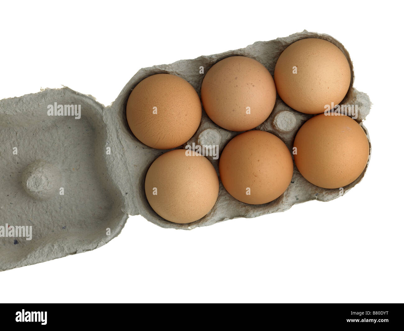 6 eggs in a box Stock Photo Alamy