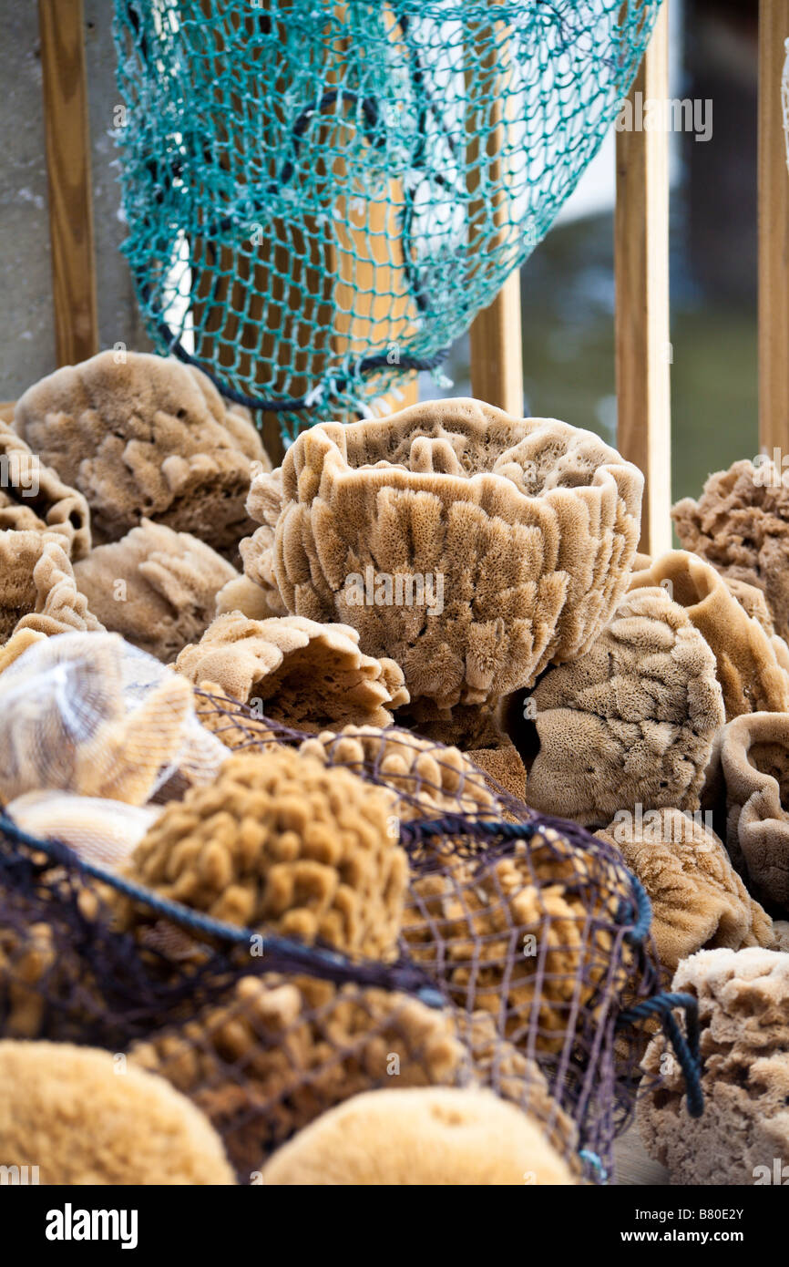 Natural sponges for sale in coastal tourist town of Cedar Key, Florida