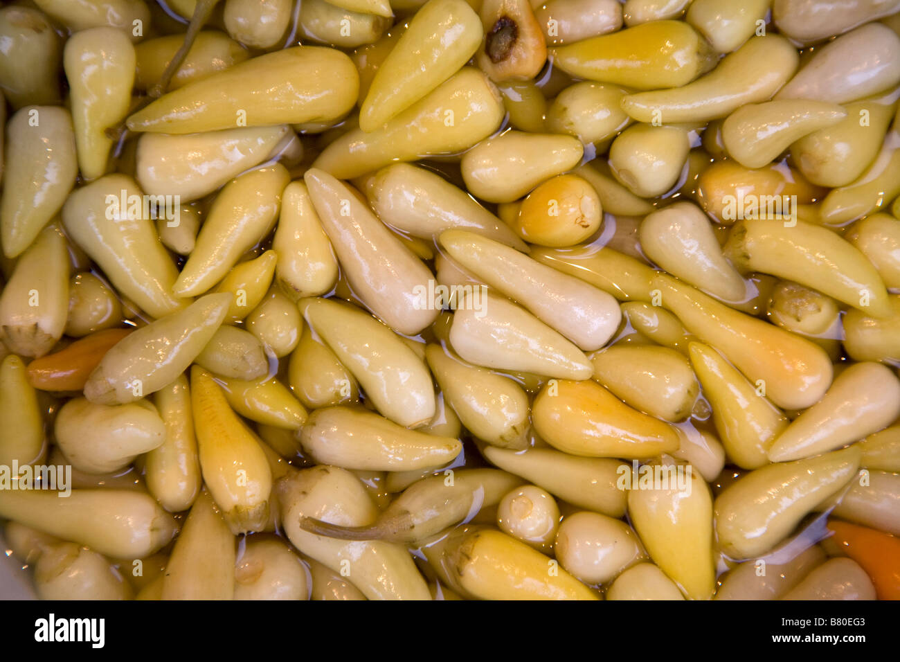 Small green peppers Stock Photo