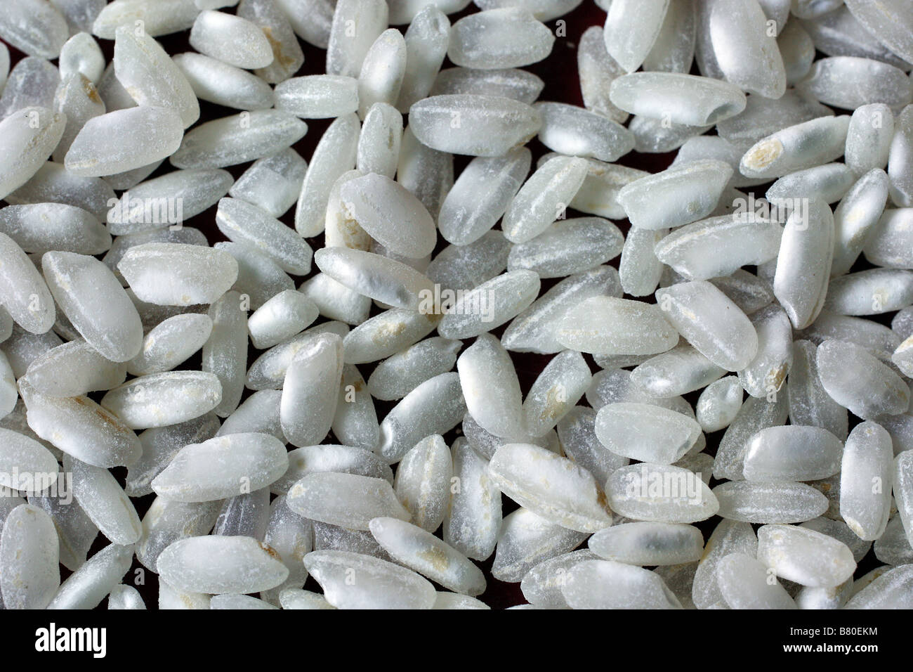 ARBORIO RICE USED FOR RISOTTO MAKING Stock Photo Alamy