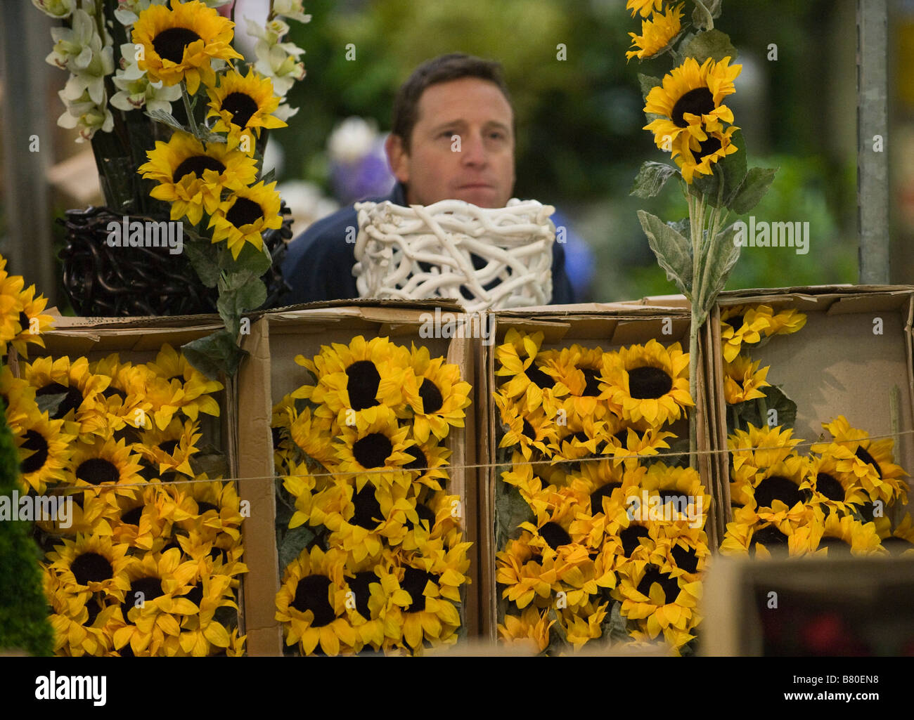 Artificial sunflowers on display at New Covent Garden Flower Market Stock Photo