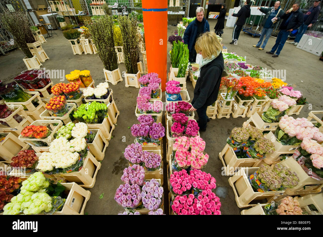A woman looks through a selection of flowers at London's New Covent Garden Flower Market London UK Stock Photo