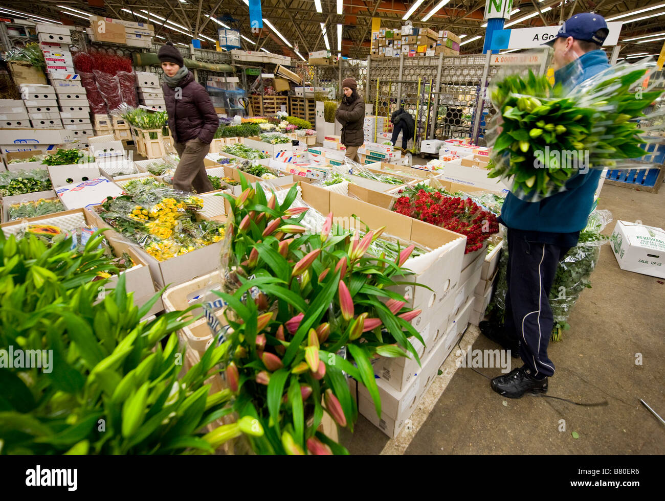 A man looks through a selection of flowers at London's New Covent Garden Flower Market London UK. Stock Photo