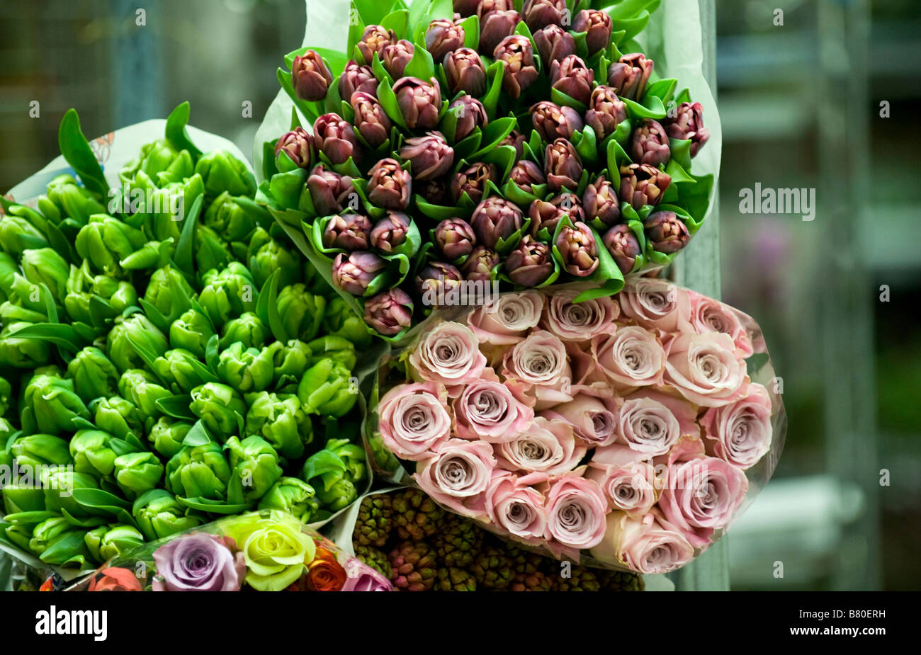 Bunches of flowers New Covent Garden Flower Market Stock Photo