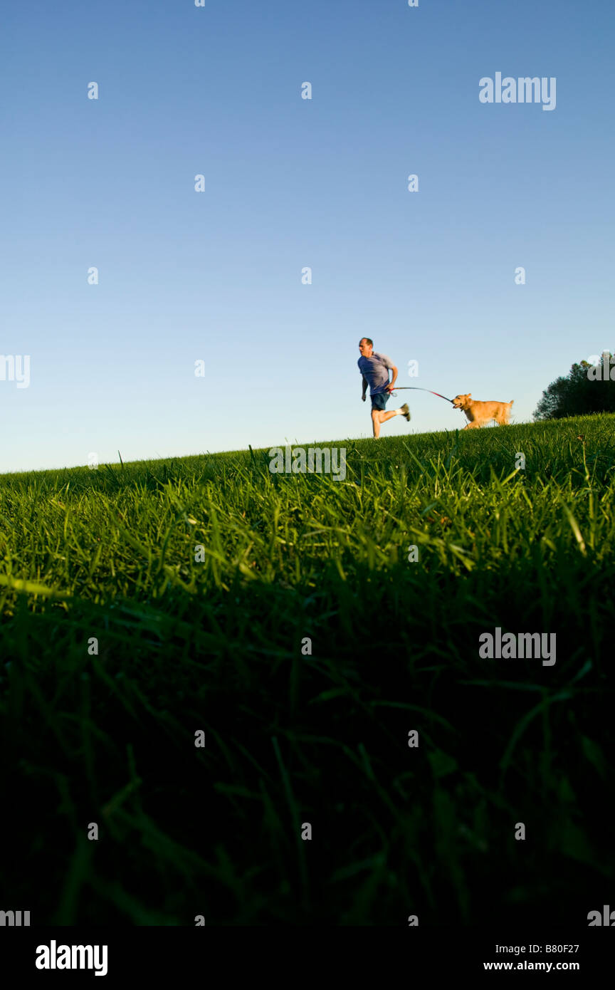 Middle age man running in the summertime on a grassy field with a Golden Retriever dog. Stock Photo