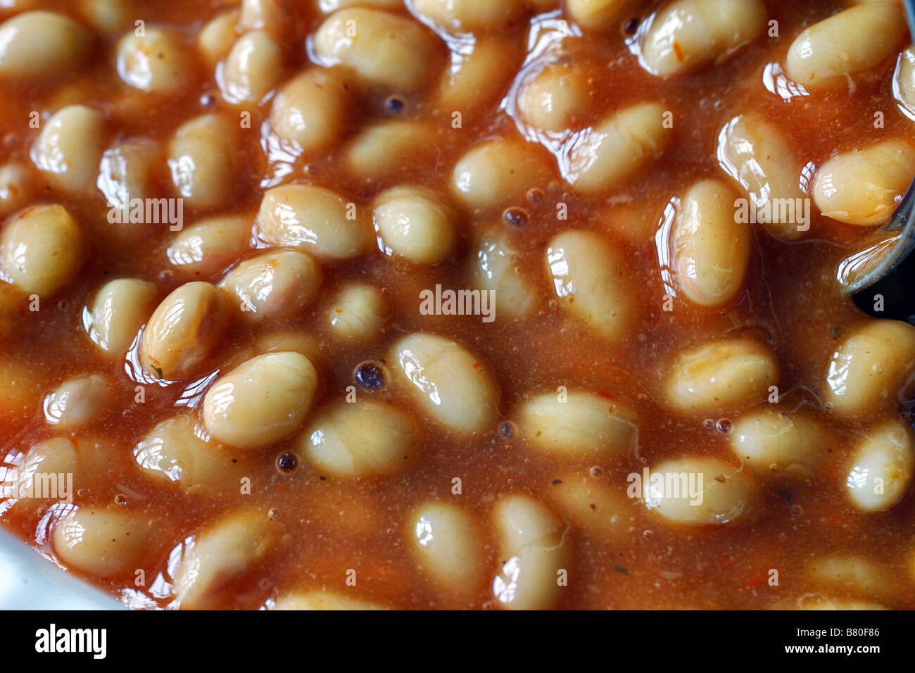 Biona organic baked beans Stock Photo