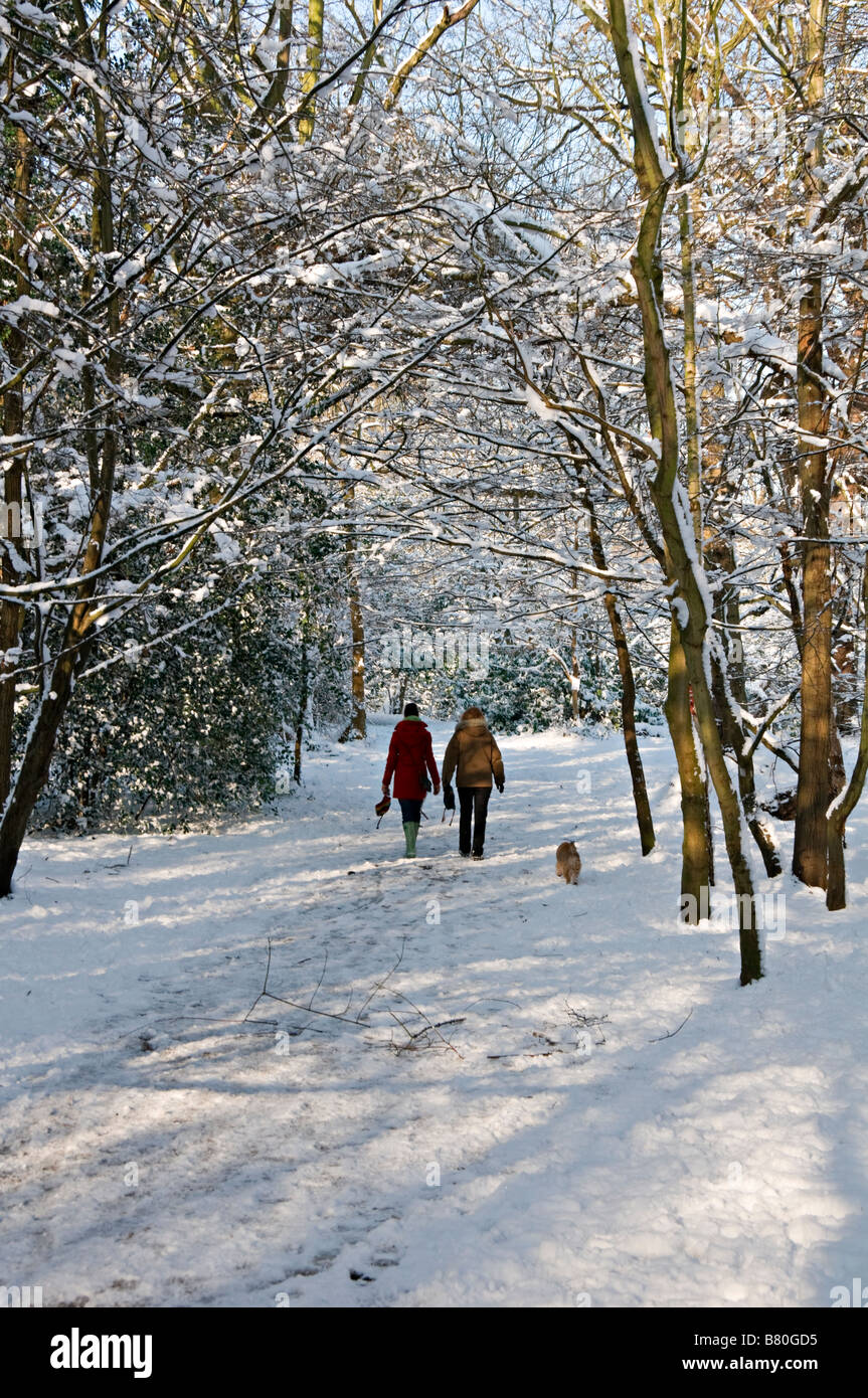 Two women walking through snow covered woods Forty Hall Enfield UK Stock Photo