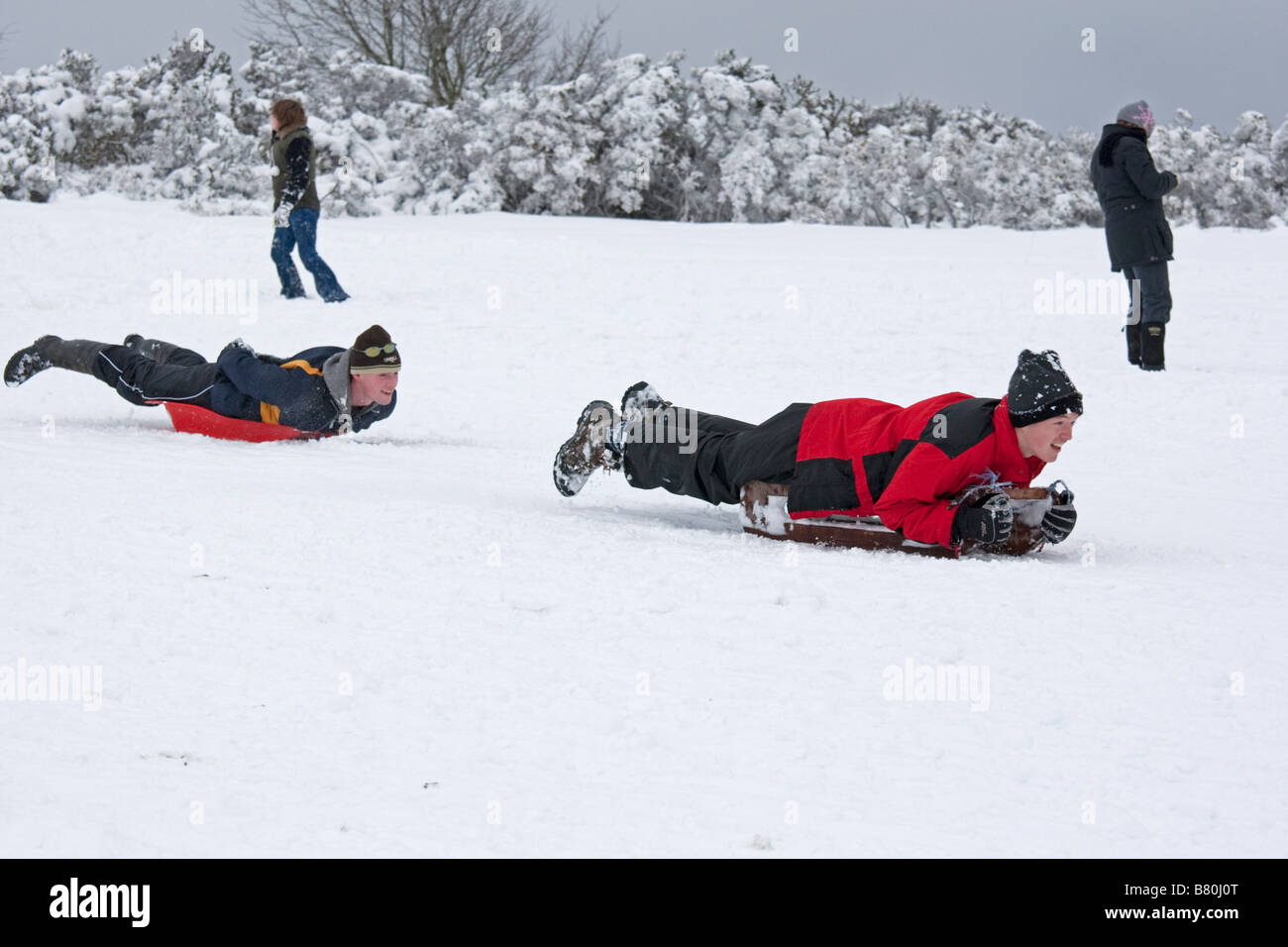 sledging in deep snow Cleeve Hill Cotswolds UK Stock Photo