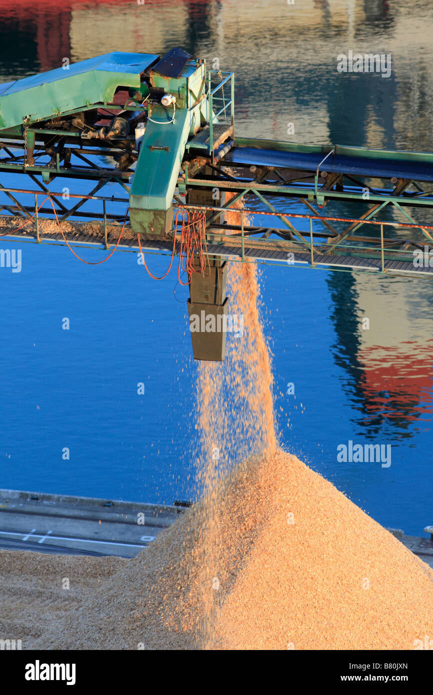 Conveyor belt delivering wood chips and saw dust to export pile,Port Chalmers, Otago Harbour
