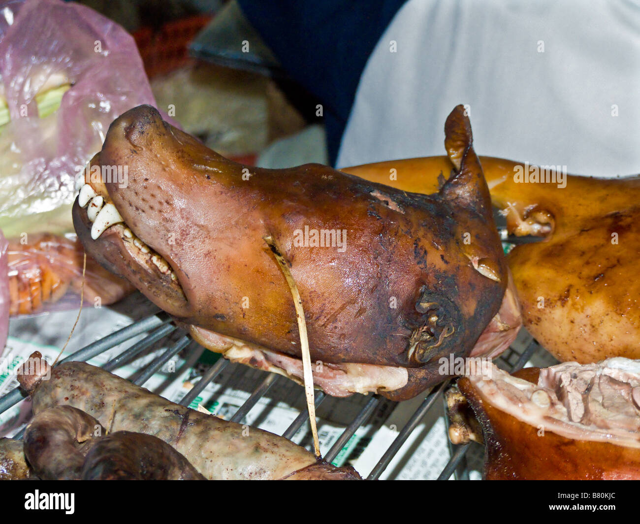 Cooked dogs head for sale at market in Hanoi Old Quarter Vietnam JPH0152 Stock Photo