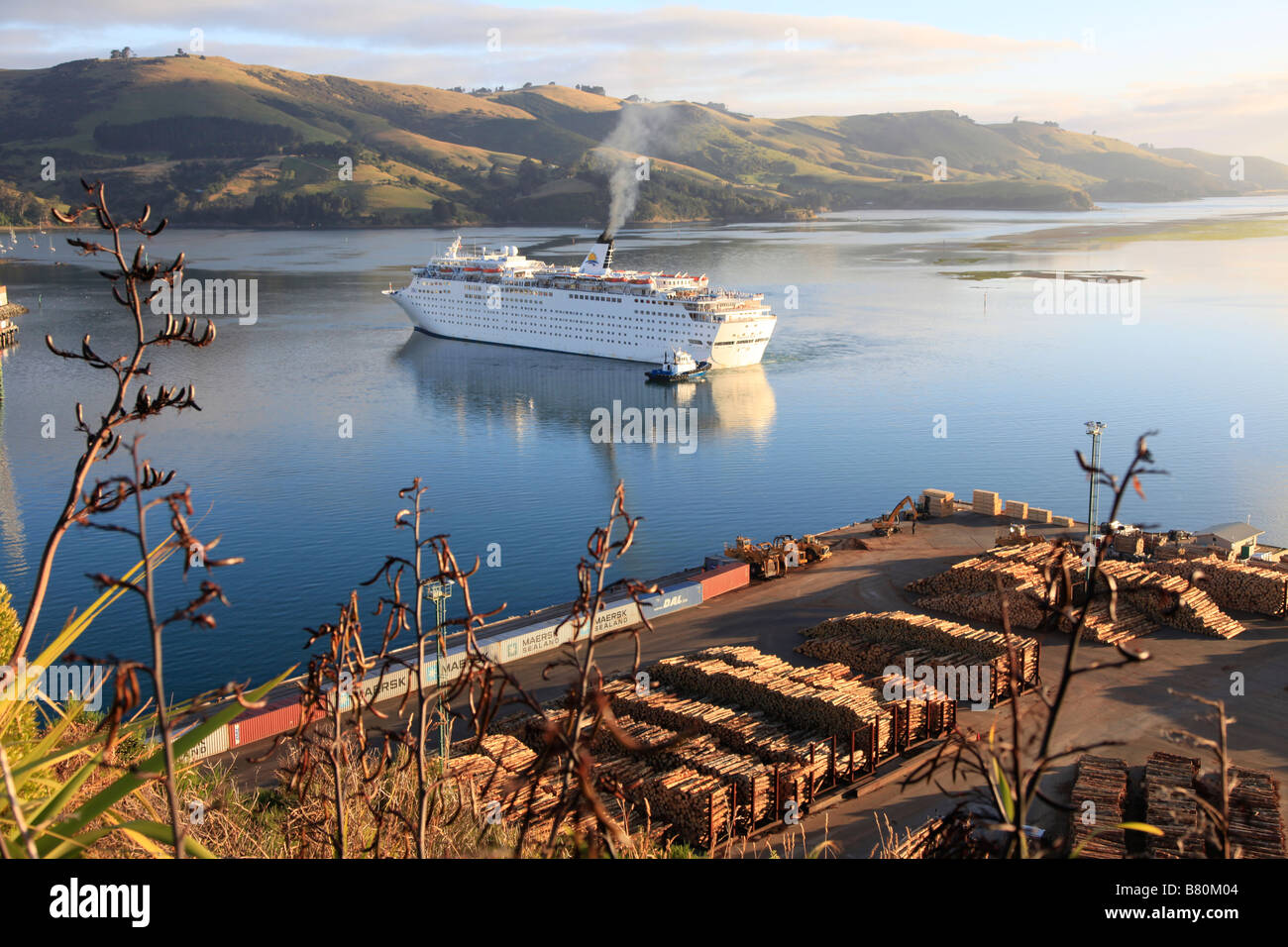Early morning arrival of Pacific Sun cruise ship with tug boat,Port Chalmers, Otago Harbour, Dunedin, South Island, New Zealand Stock Photo