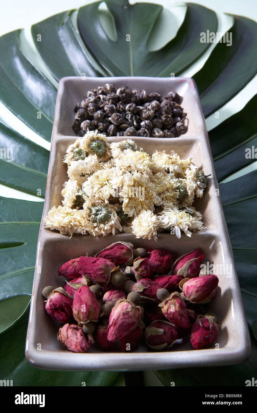 Dried Flower,Still Life Stock Photo Alamy