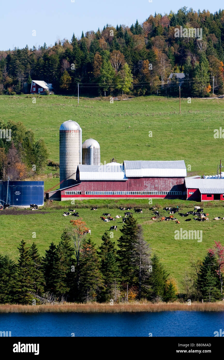 A dairy farm in rural Vermont October 7 2008 Stock Photo - Alamy